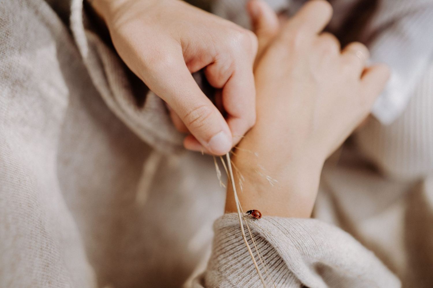 Familienshooting im Grünen – authentische Momentaufnahmen